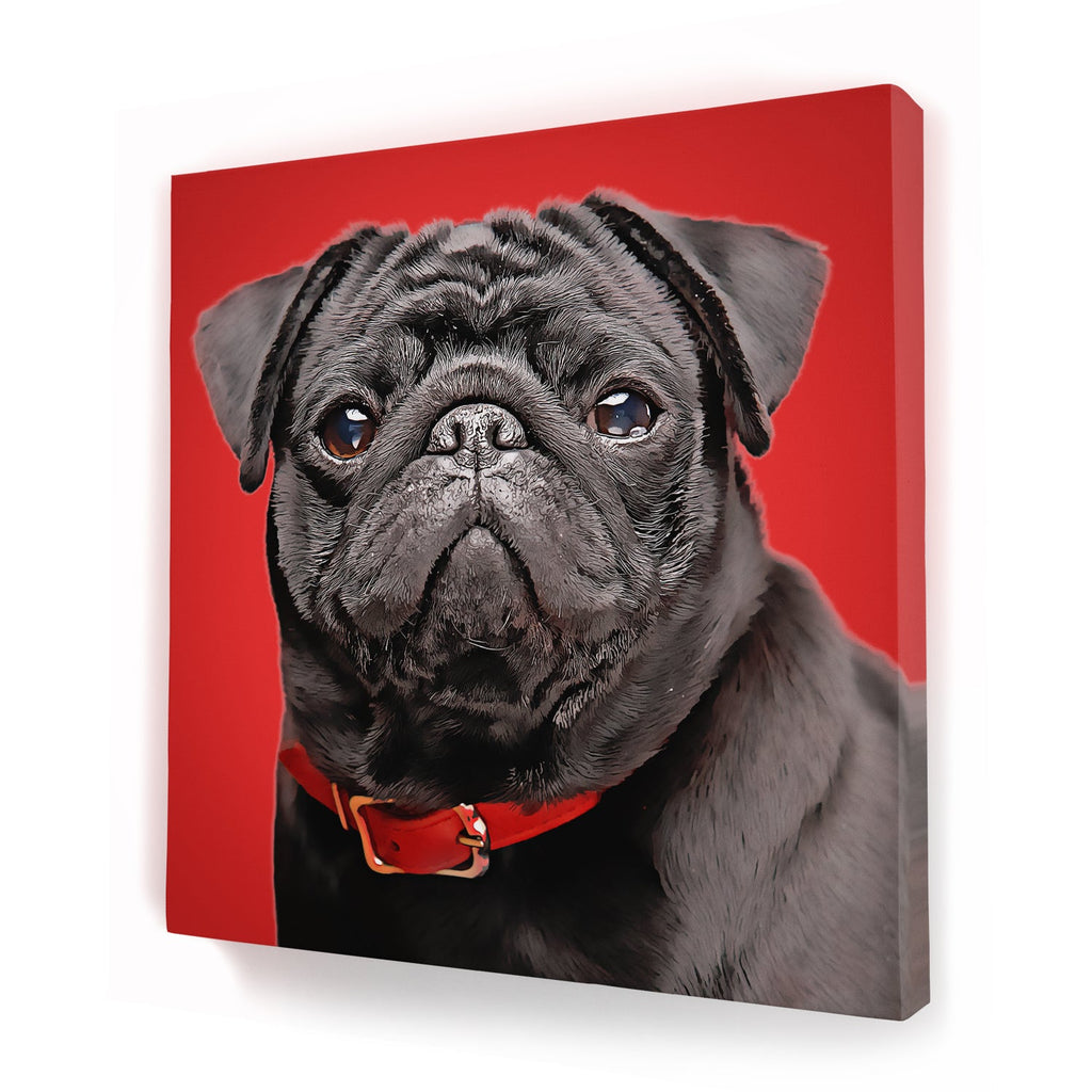 Custom Pet Portrait - Square Canvas