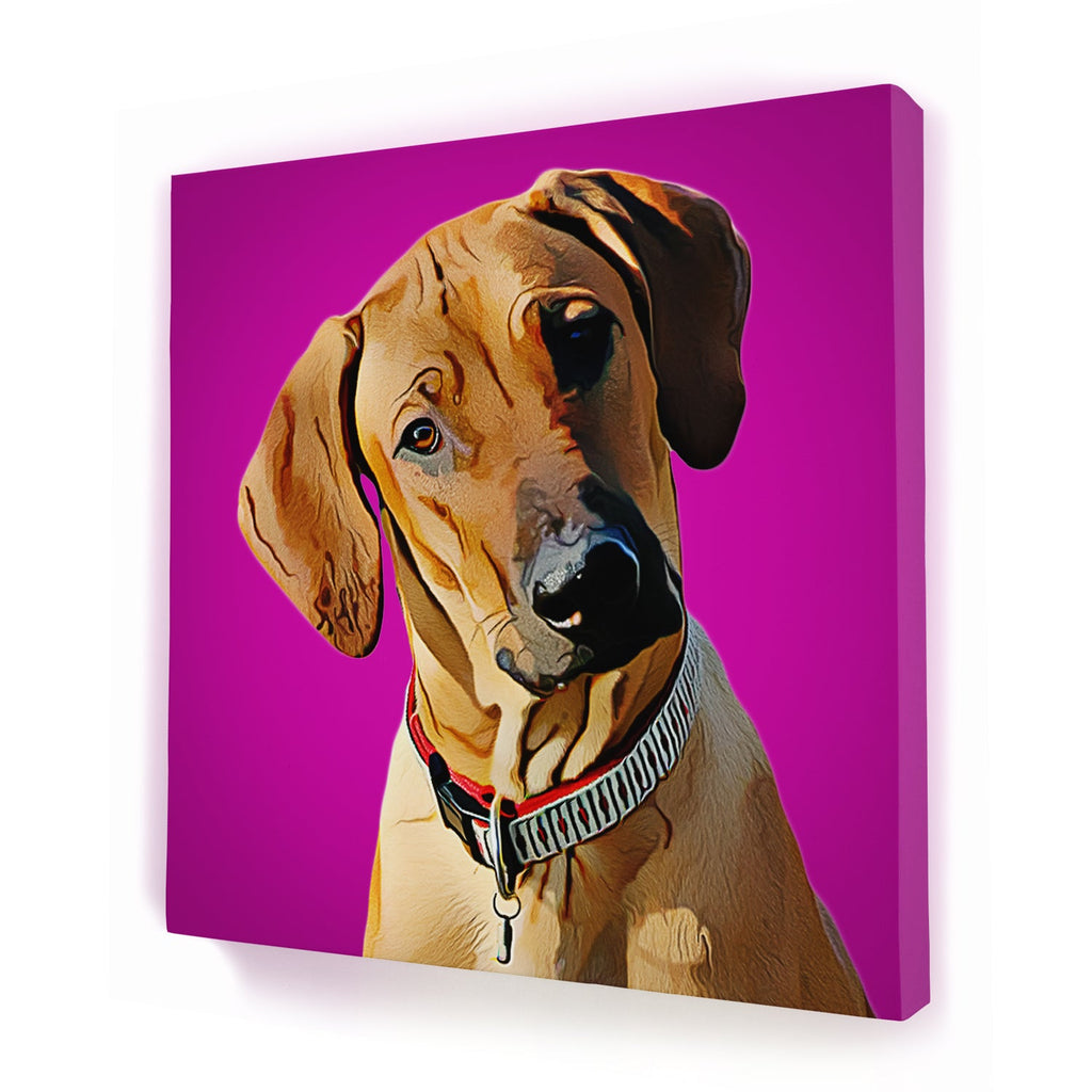 Custom Pet Portrait - Square Canvas